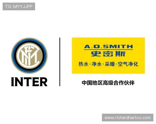 德赢与AC米兰官方合作伙伴合作对双方品牌价值提升的具体表现和效果分析