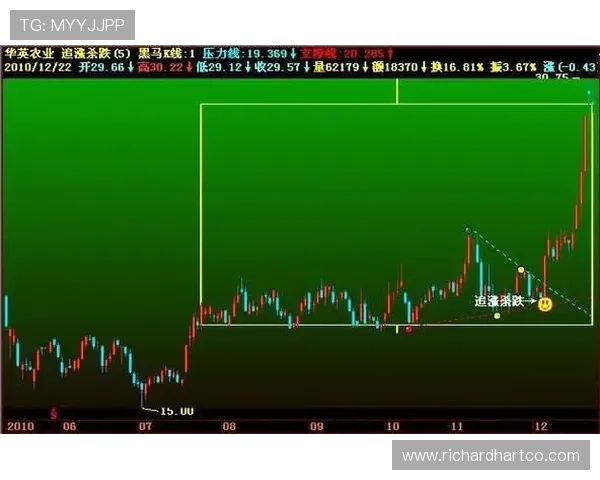 韦德投注：如何选择合适的投注策略实现稳健盈利